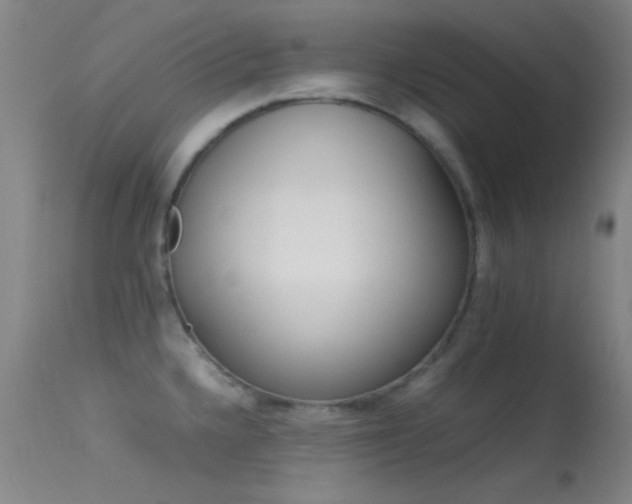 X0000113621336200909181106