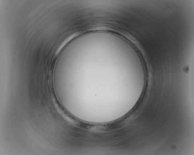 X0000113621337200909181106