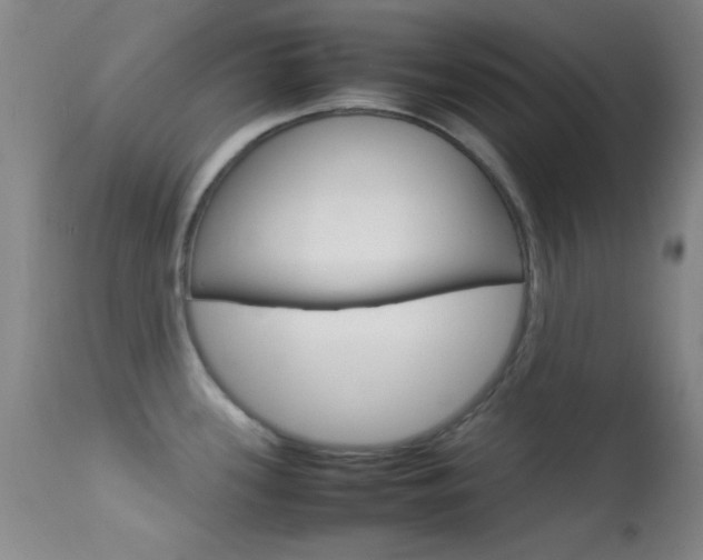 X0000113621339200909181106