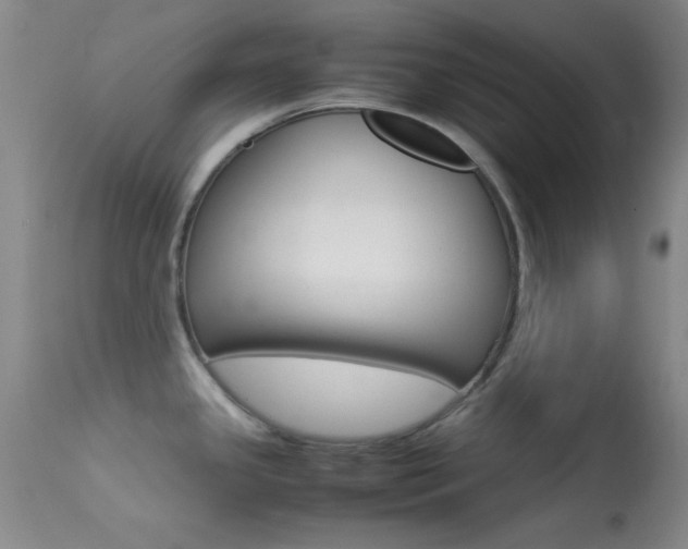 X0000113621341200909181107