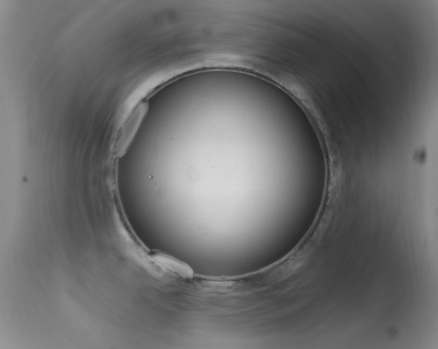 X0000113621342200909181107
