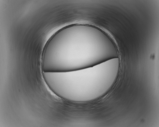 X0000113621343200909181107