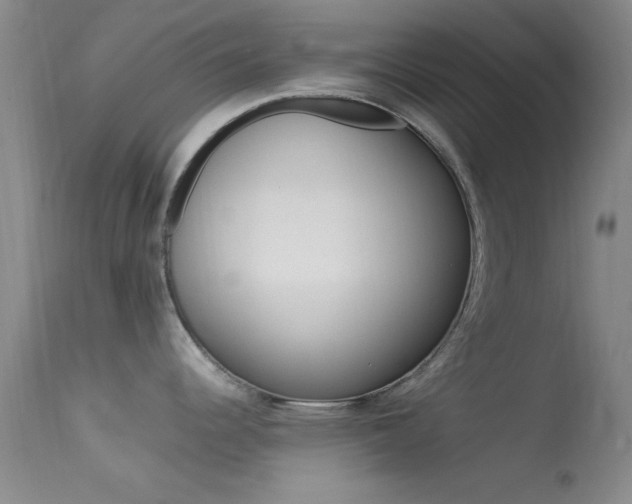 X0000113621344200909181107