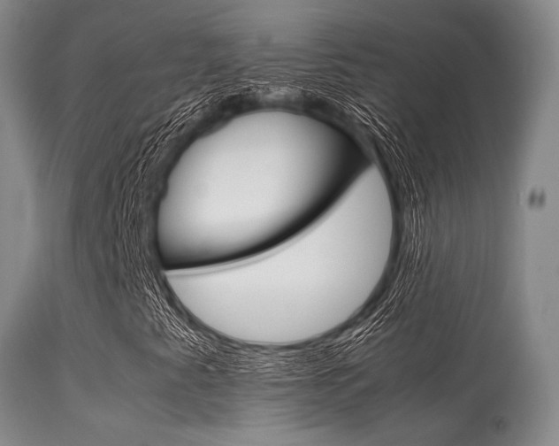 X0000113621345200909181106