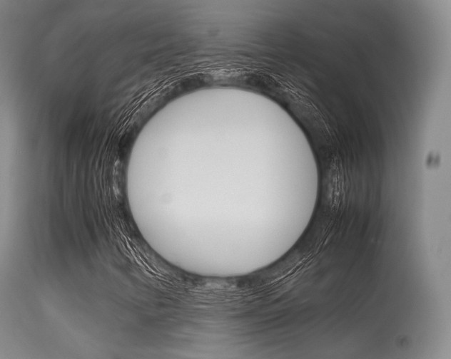 X0000113621346200909181106
