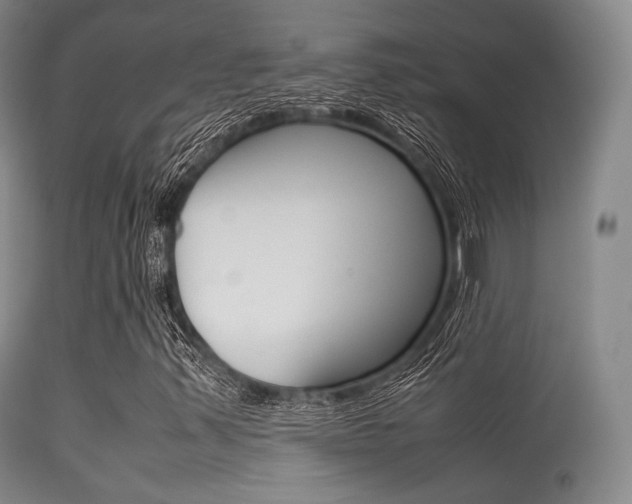 X0000113621347200909181106