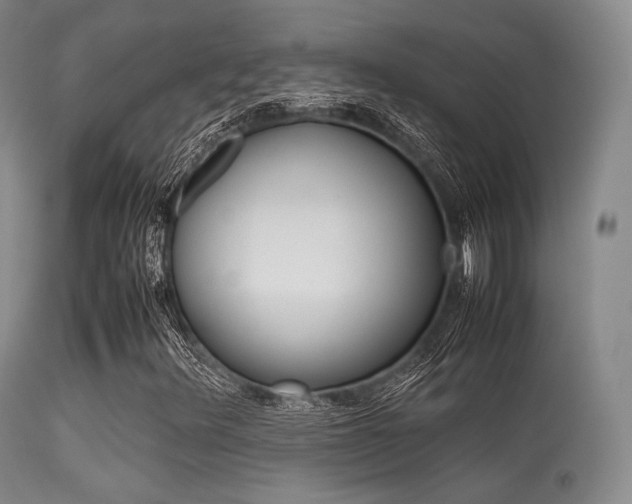 X0000113621348200909181106