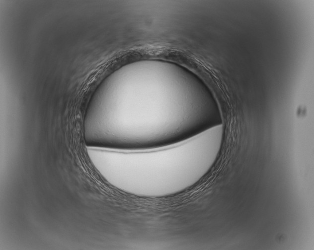 X0000113621349200909181106