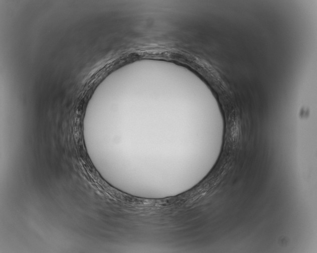 X0000113621350200909181106