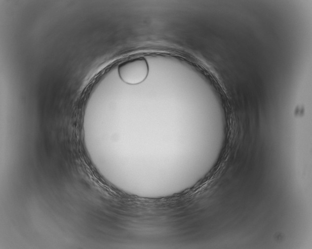 X0000113621352200909181106