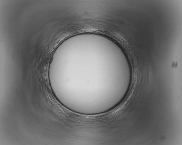 X0000113621353200909181106