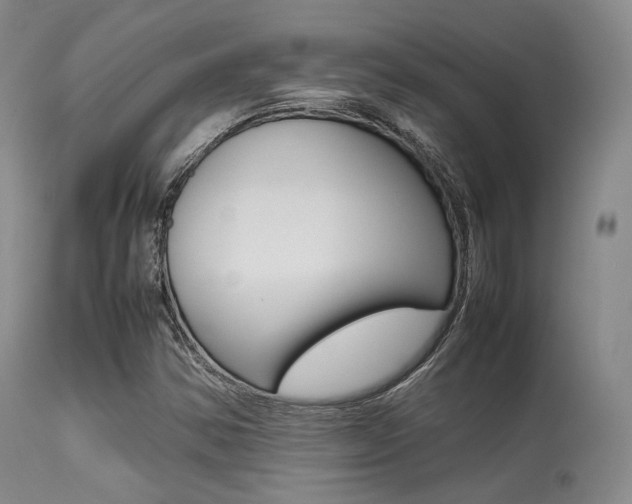 X0000113621354200909181106