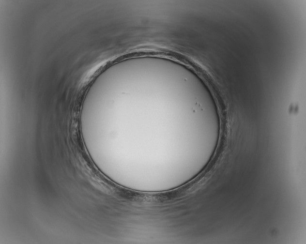 X0000113621355200909181106