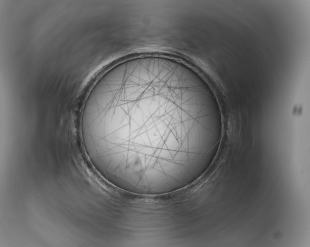 X0000113621356200909181106