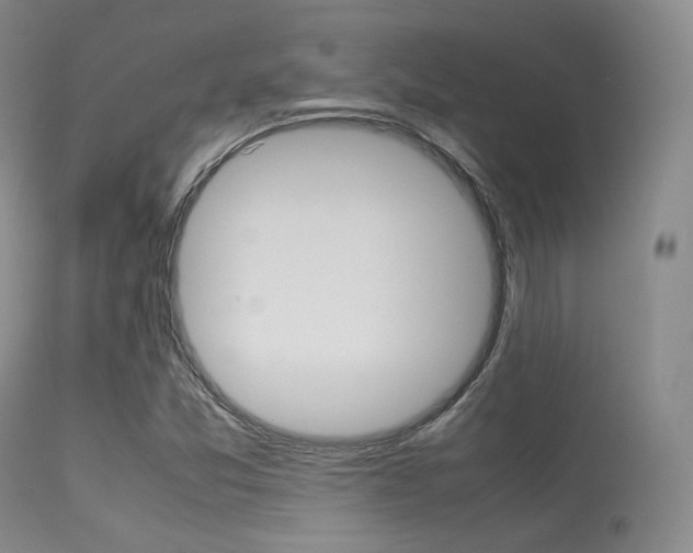 X0000113621357200909181106