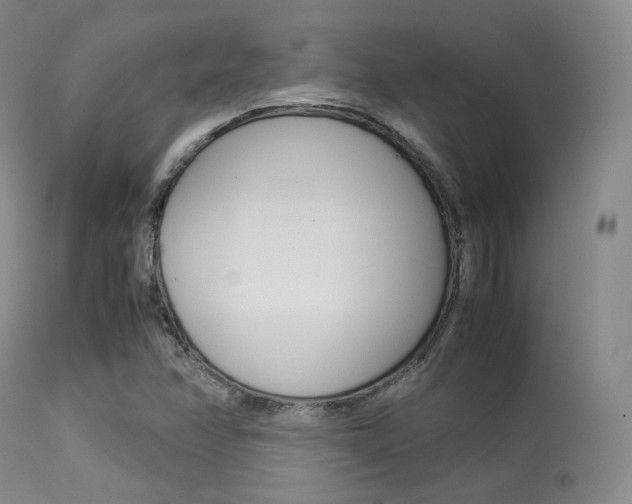 X0000113621358200909181106