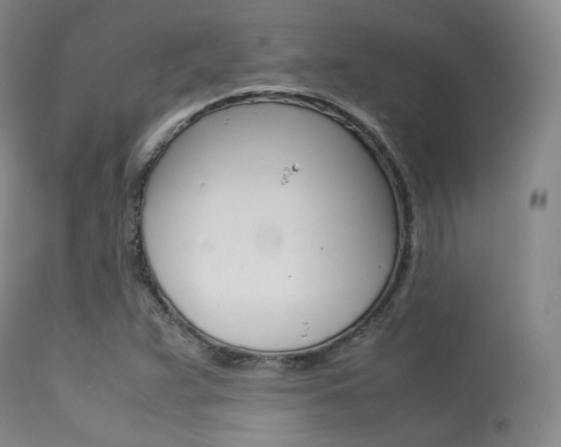 X0000113621359200909181106