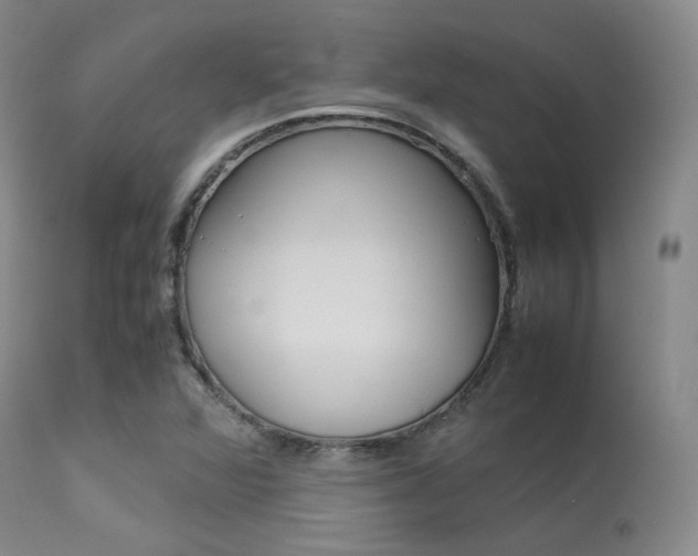 X0000113621360200909181106