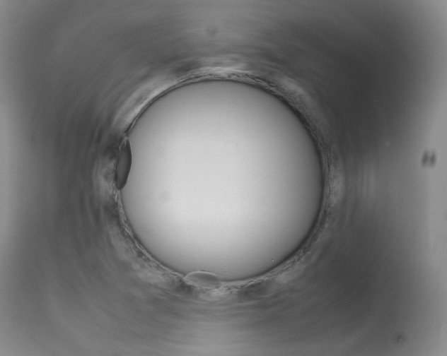X0000113621361200909181106