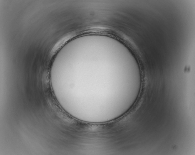 X0000113621362200909181106
