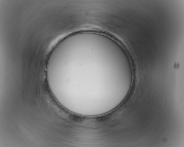 X0000113621363200909181106