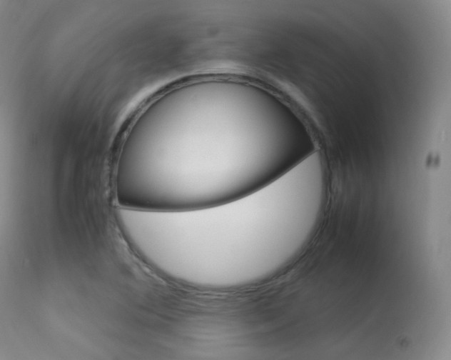 X0000113621364200909181106