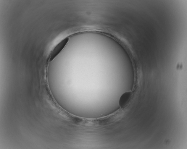 X0000113621365200909181106
