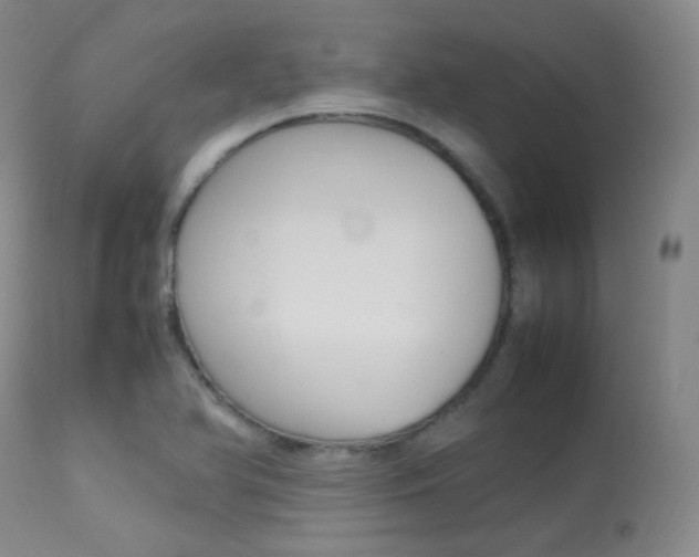 X0000113621366200909181106