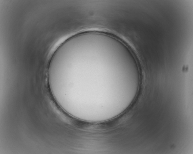 X0000113621367200909181106