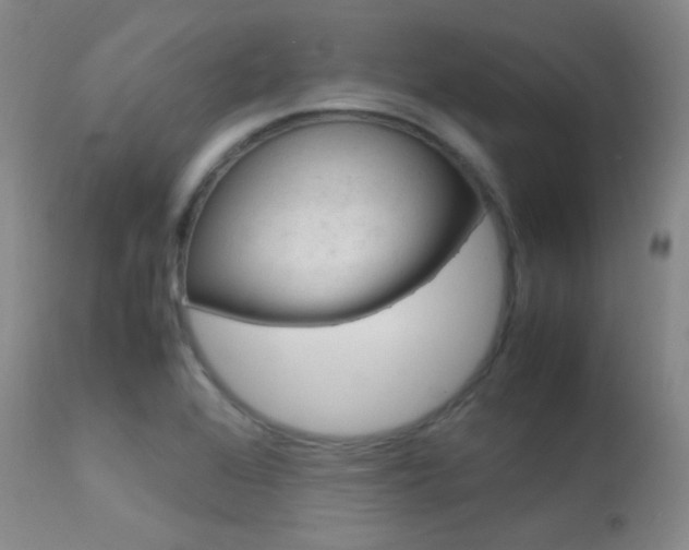 X0000113621368200909181106