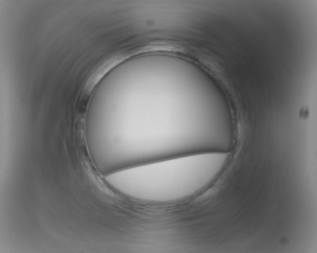 X0000113621369200909181106