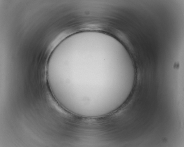 X0000113621370200909181106