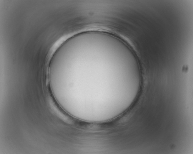 X0000113621371200909181106