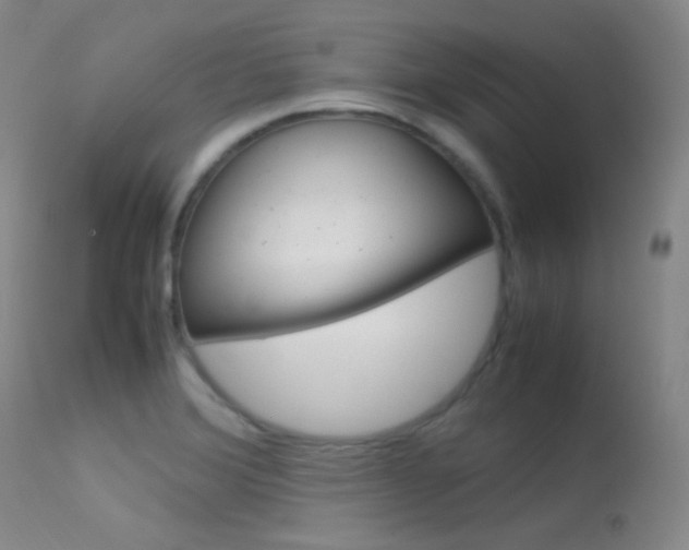 X0000113621372200909181106