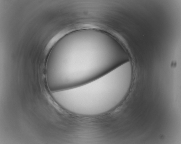 X0000113621373200909181105
