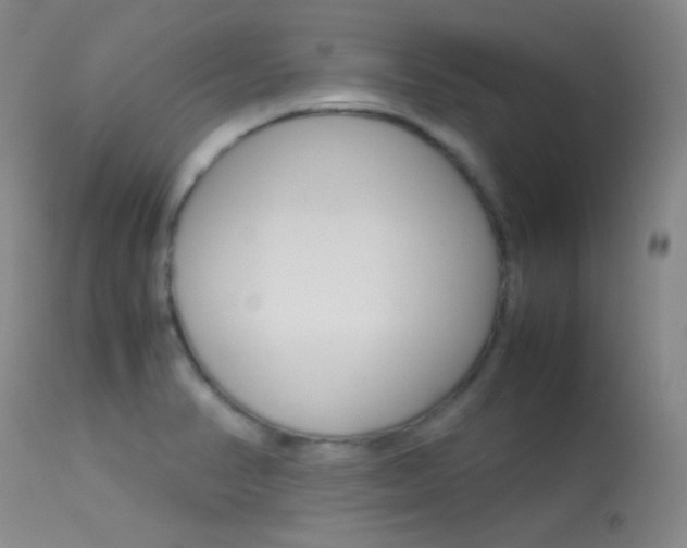X0000113621374200909181105