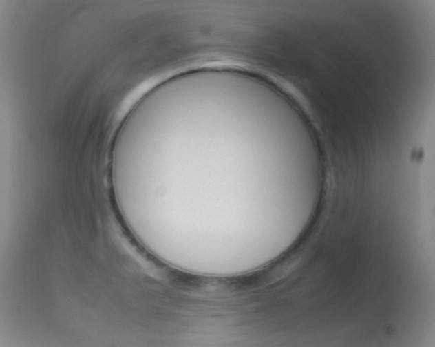 X0000113621375200909181105