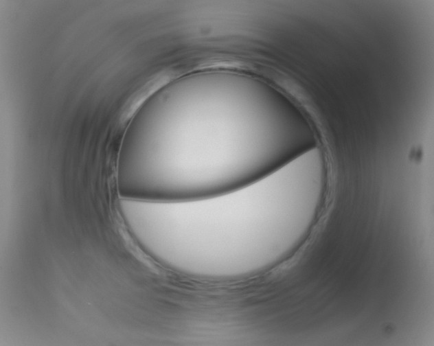 X0000113621377200909181105