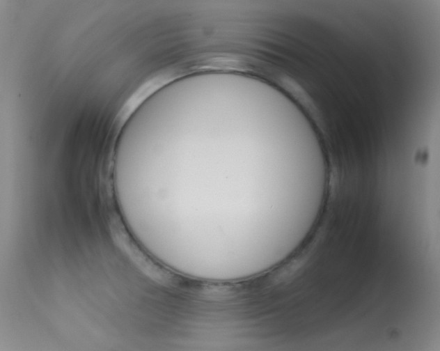 X0000113621378200909181105