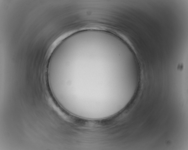 X0000113621379200909181105