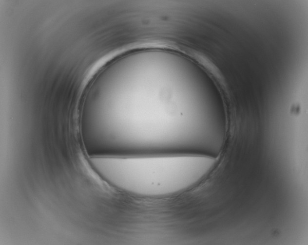 X0000113621380200909181105