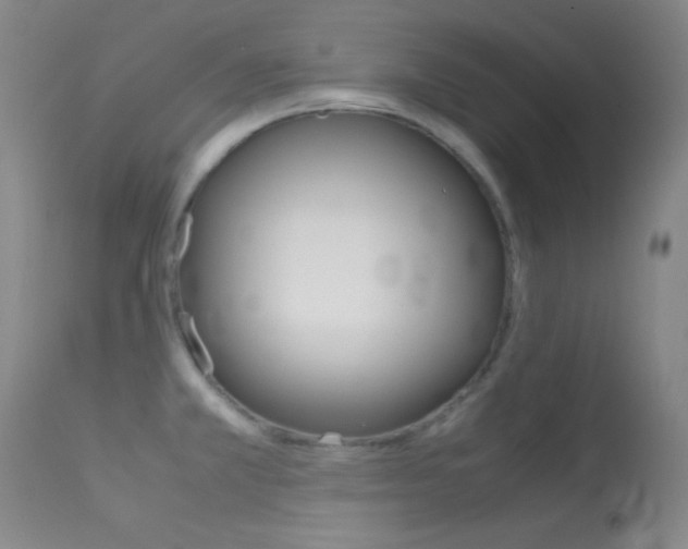 X0000113621381200909181105