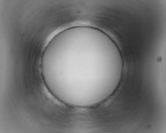 X0000113621382200909181105