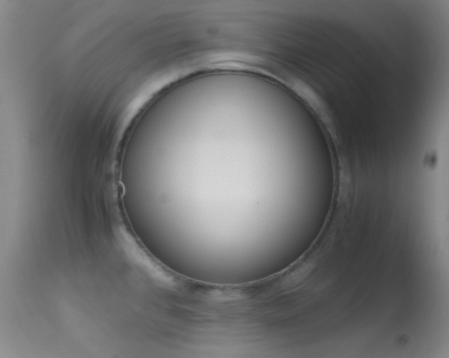 X0000113621384200909181105