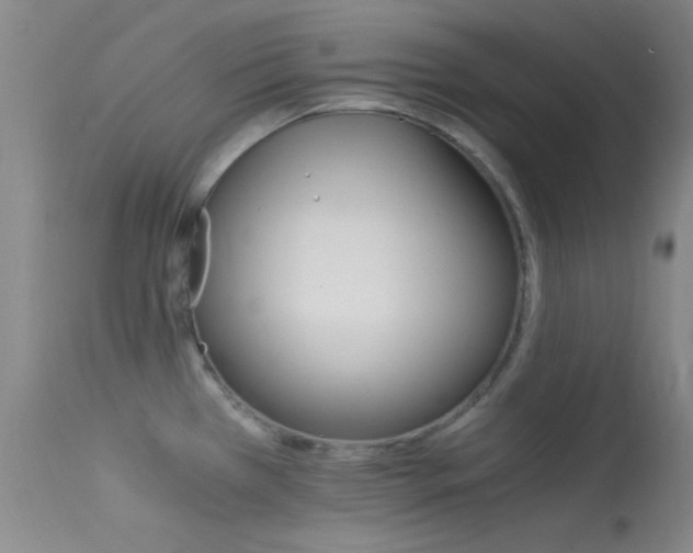 X0000113621385200909181105
