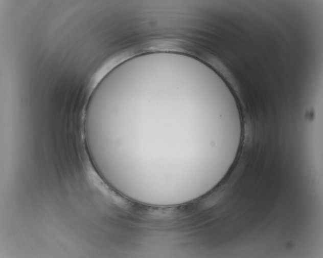 X0000113621386200909181105