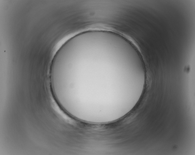 X0000113621387200909181105