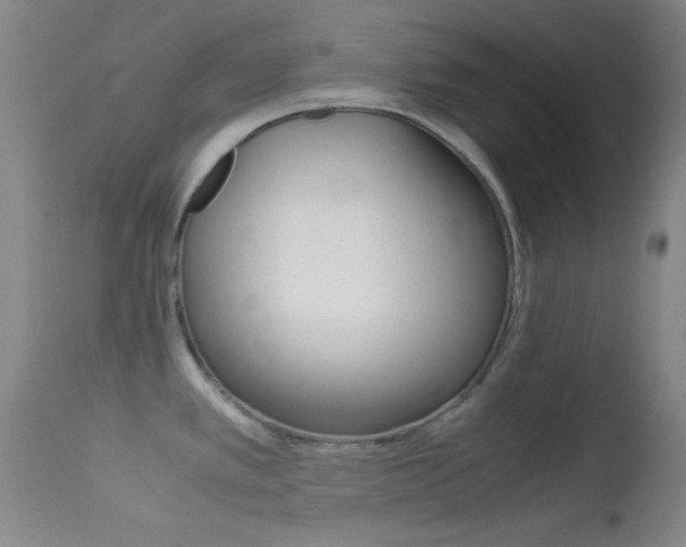 X0000113621389200909181105