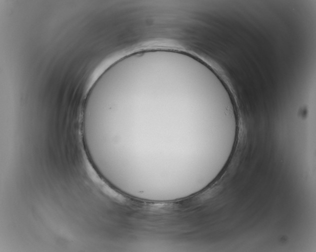 X0000113621390200909181105