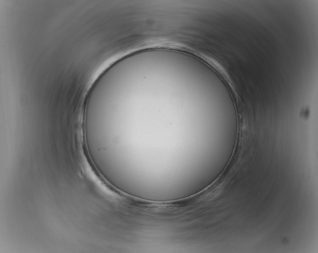 X0000113621391200909181105